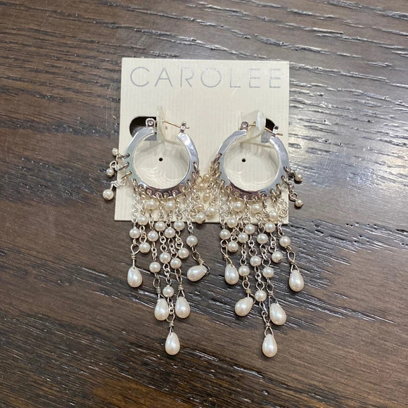 Carolee NWT Earnings - Picture 1 of 2
